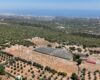 Mersin Erdemli Esenpınar Ağlıca Satılık Tarla