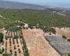 Mersin Erdemli Esenpınar Ağlıca Satılık Tarla