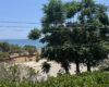 Mersin Erdemli Kocahasanlı Denize Sıfır Satılık 2+1 Daire