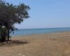 Mersin Erdemli Kocahasanlı Denize Sıfır Satılık 2+1 Daire
