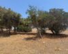 Mersin Erdemli Kocahasanlı Denize Sıfır Satılık 2+1 Daire