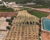 Mersin Erdemli Batısandal Deniz Manzaralı Villa Yapılacak Satılık Tarla