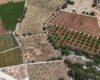 Mersin Erdemli Batısandal Deniz Manzaralı Villa Yapılacak Satılık Tarla