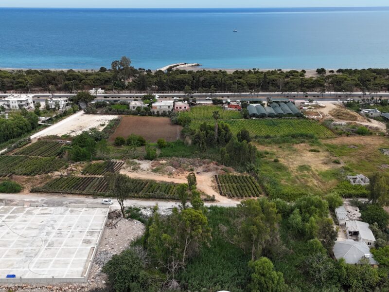 Mersin Erdemli Koyuncu Yatırım Fırsatı Denize Yakın Satılık Bahçe