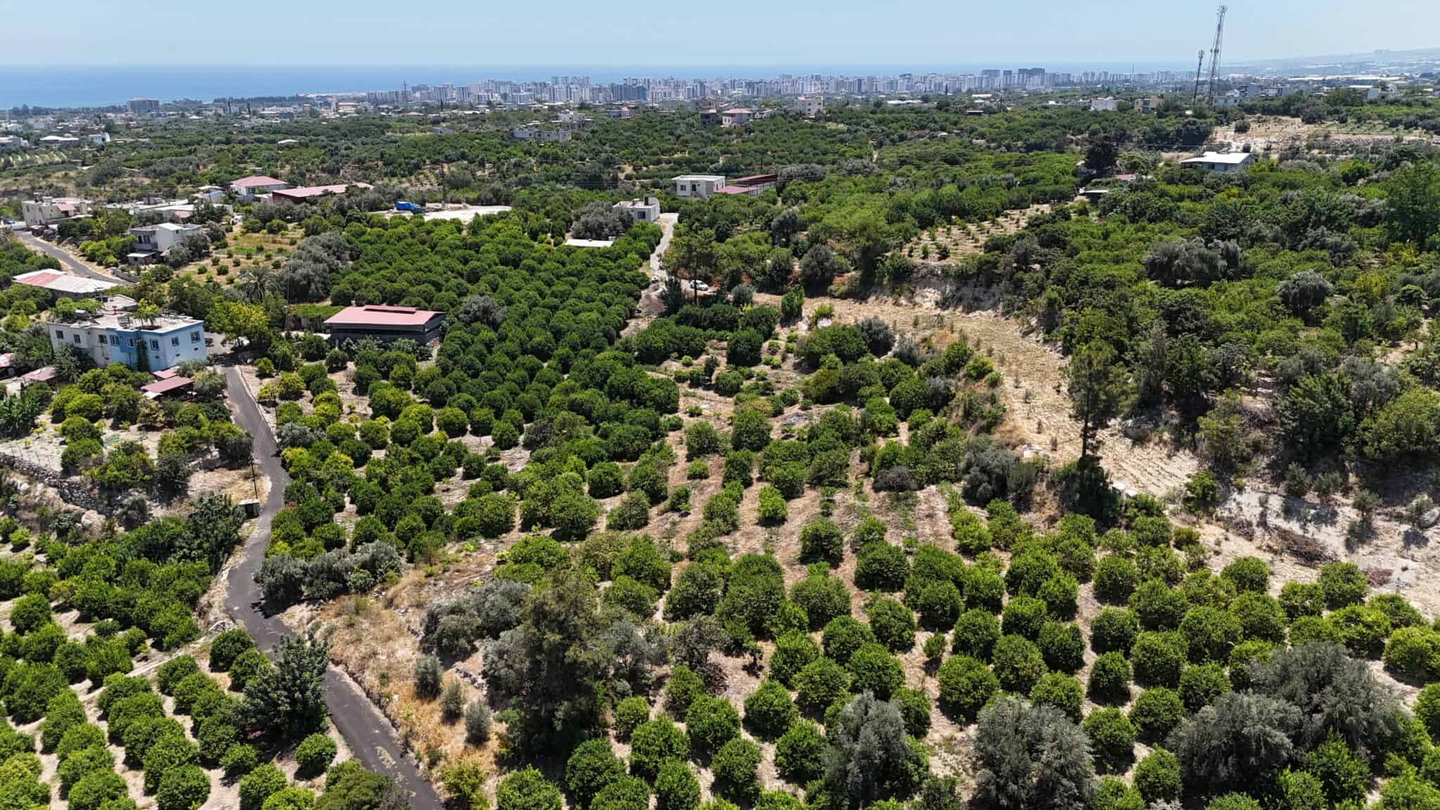 MERSİN ERDEMLİ Kargıcak For Sale Lemon Garden