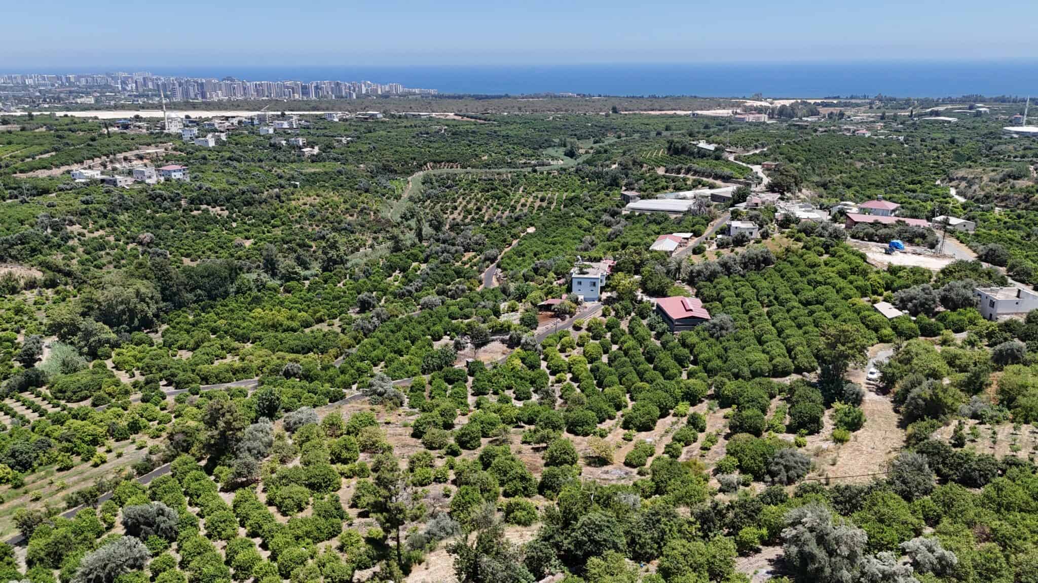 MERSİN ERDEMLİ Kargıcak For Sale Lemon Garden