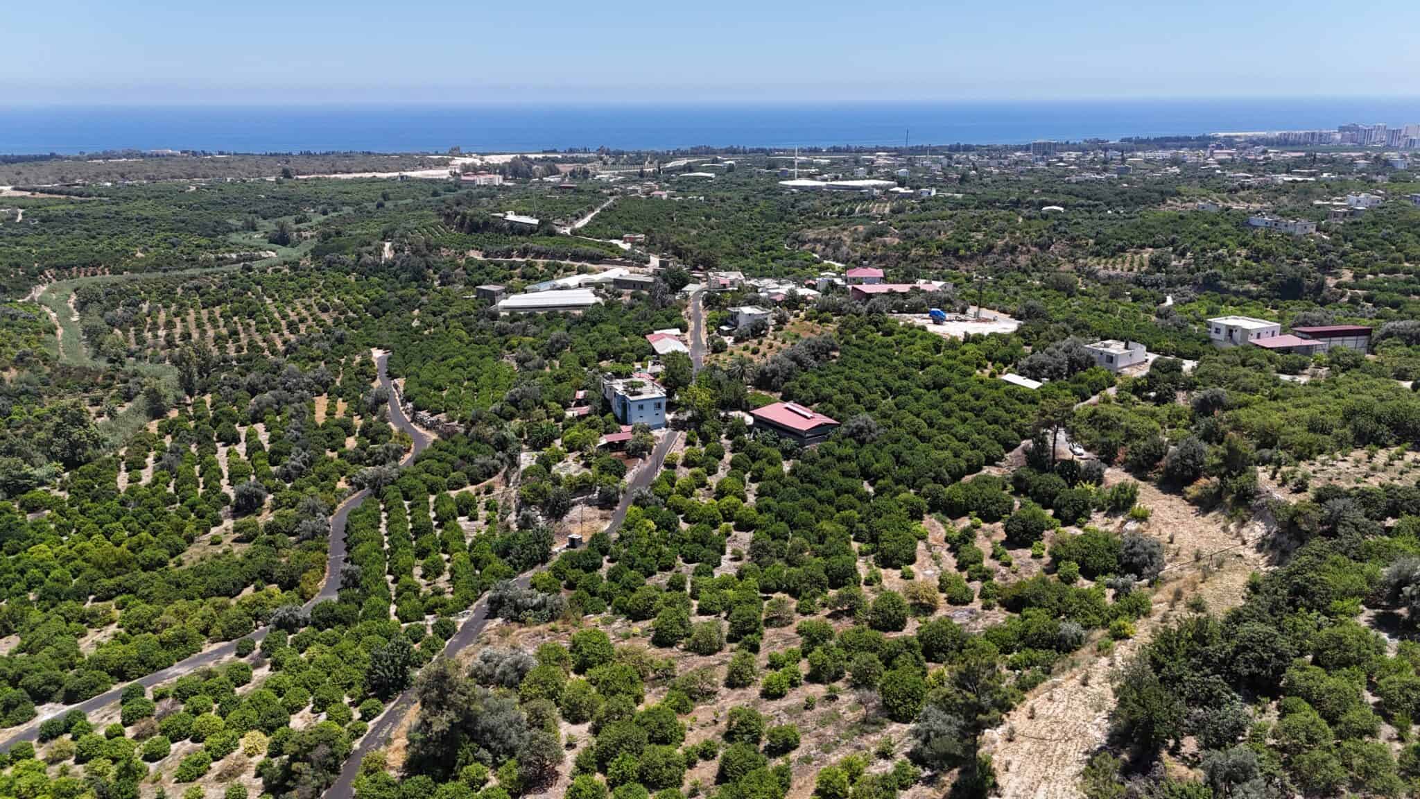 MERSİN ERDEMLİ Kargıcak For Sale Lemon Garden