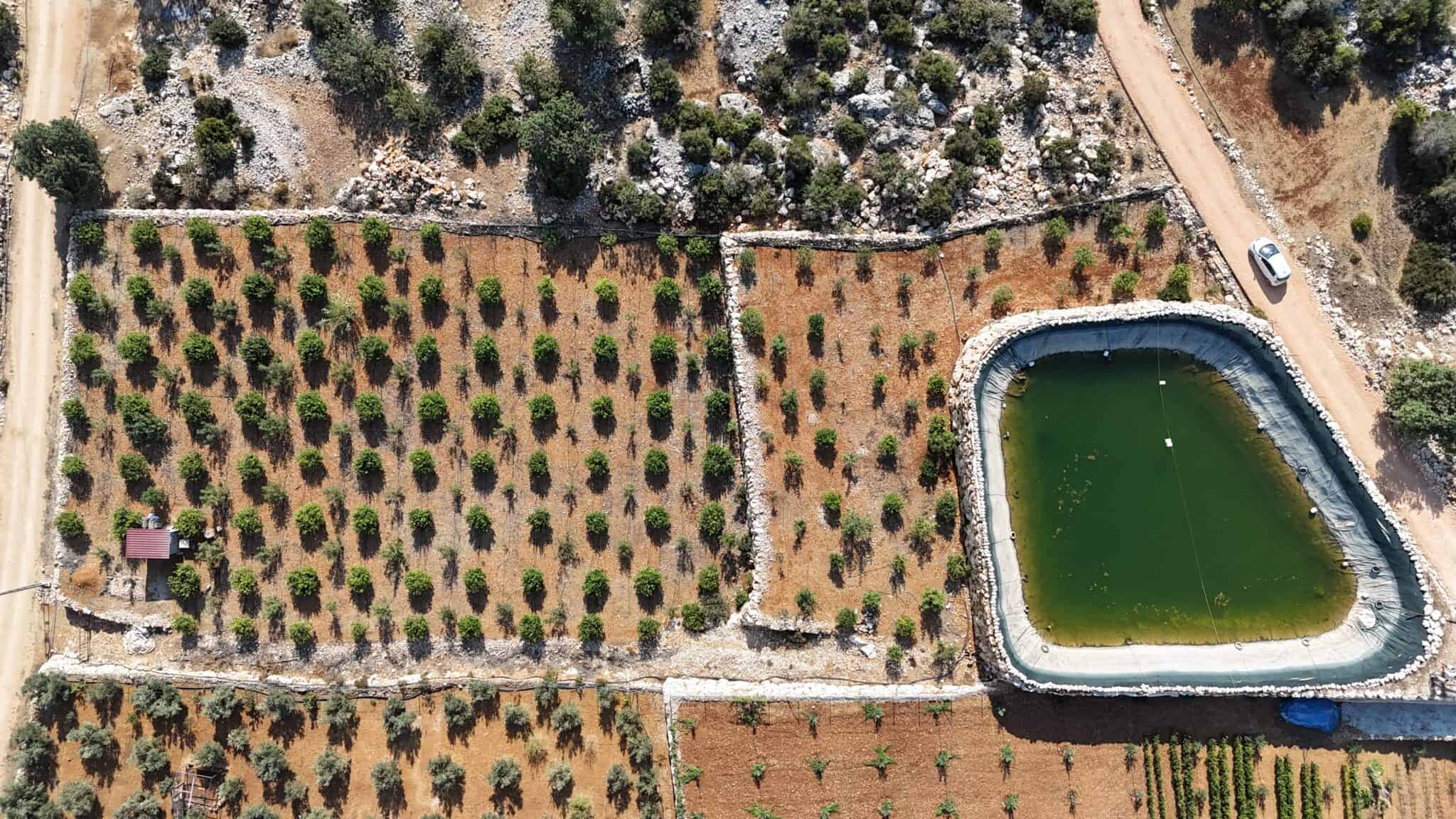 Lemon Garden for Sale in Narlıkuyu Hasanaliler, Silifke, Mersin