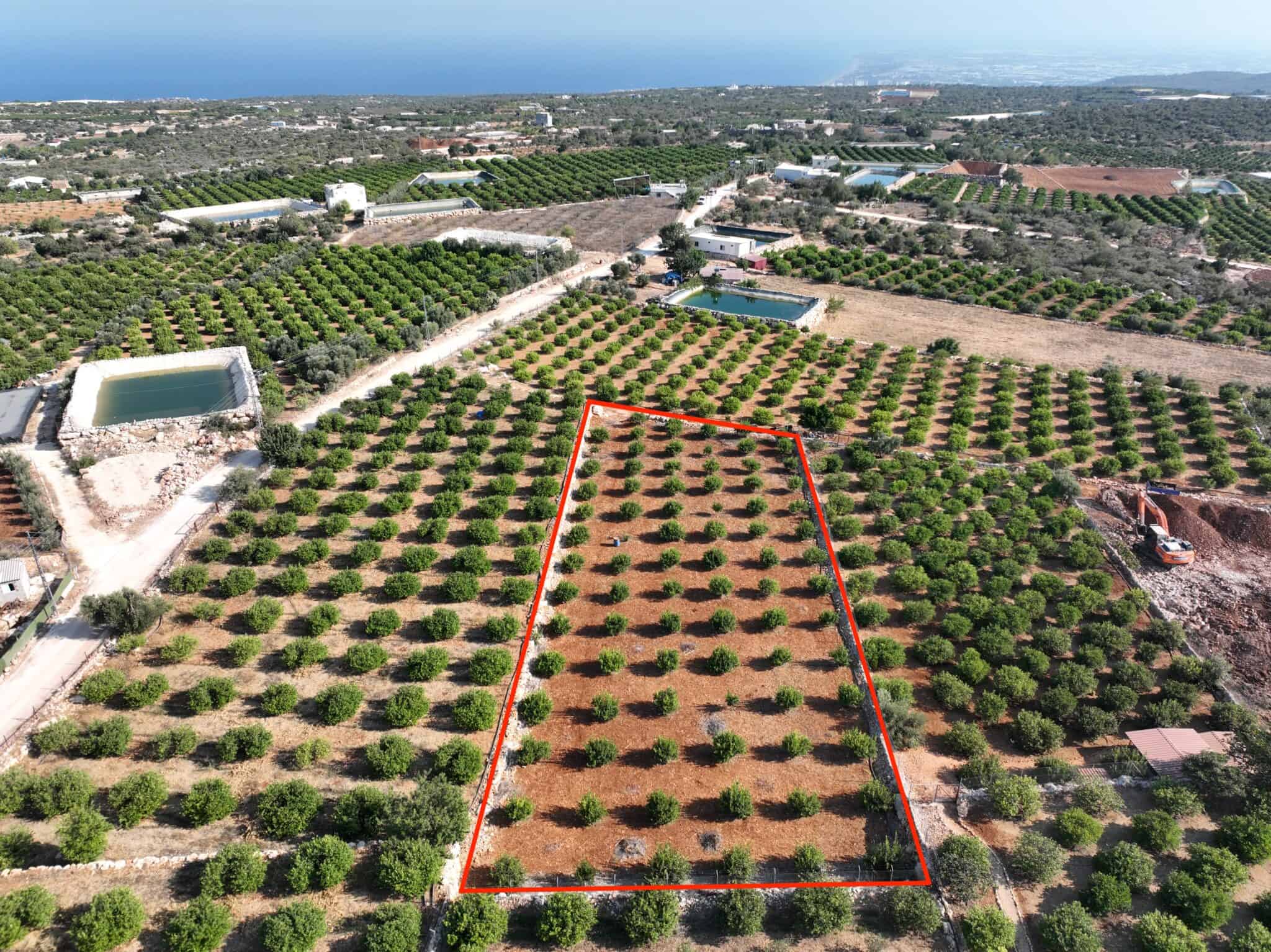 Lemon Garden for Sale in Narlıkuyu Hasanaliler, Silifke, Mersin