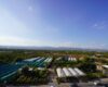 Mersin Alp City Tömük Life Satılık 1+1 Daire