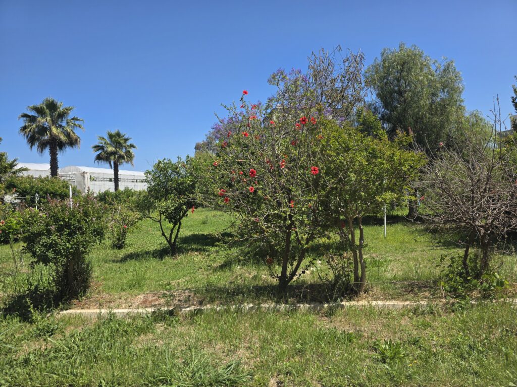 Mersin Erdemli Limonlu Gondola Sitesi Satılık 2+1 Deniz Manzaralı Daire