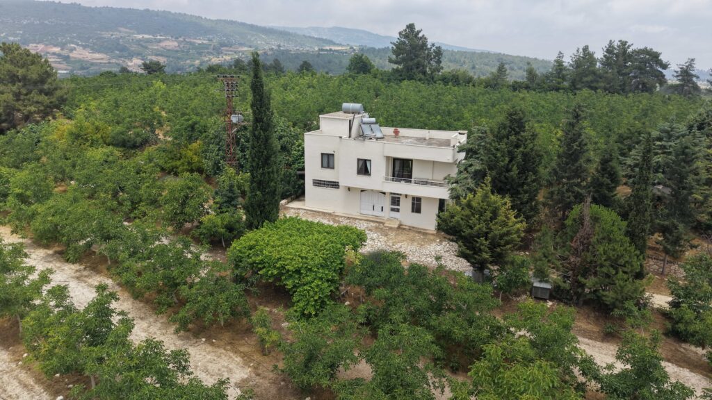 Walnussplantage mit Meerblick in Tömük İlemin, Erdemli, Mersin zu verkaufen