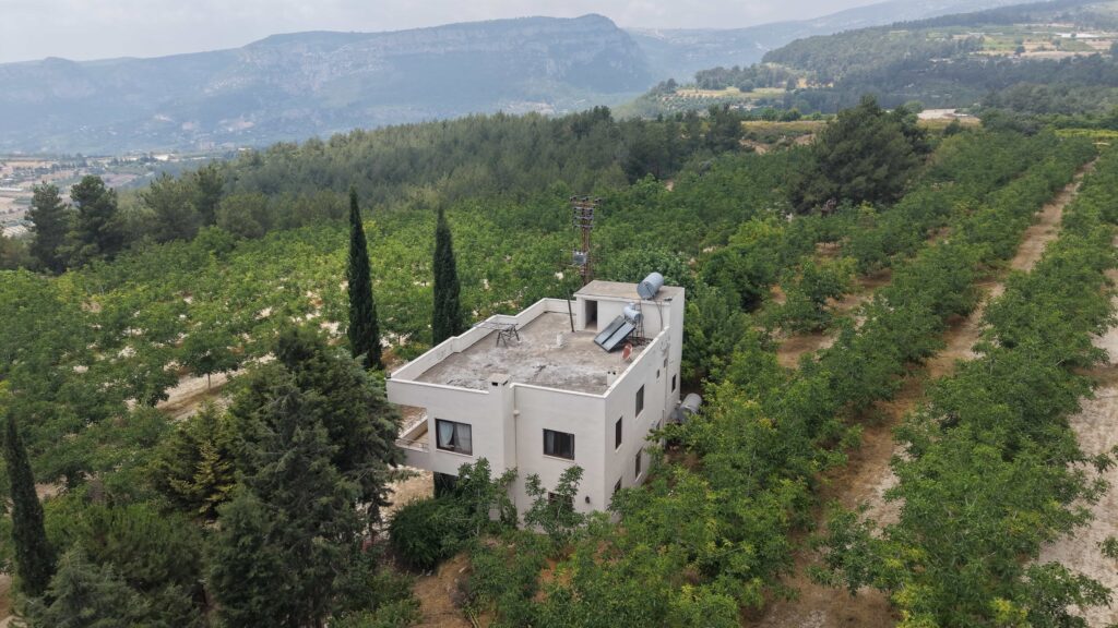 Walnussplantage mit Meerblick in Tömük İlemin, Erdemli, Mersin zu verkaufen