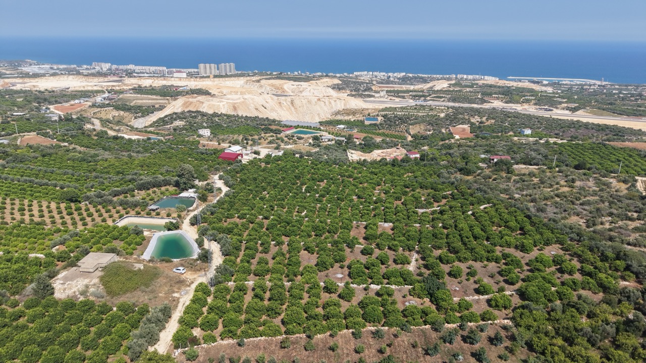 Citroenboomgaard te koop in Tırtar, Kumkuyu, Erdemli, Mersin, met uitzicht op zee