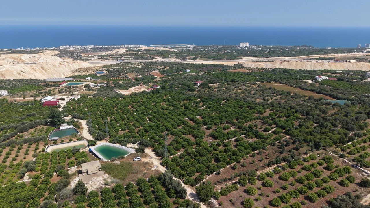 Citroenboomgaard te koop in Tırtar, Kumkuyu, Erdemli, Mersin, met uitzicht op zee