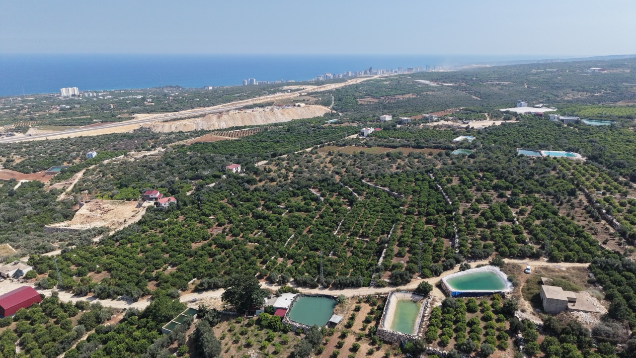 Citroenboomgaard te koop in Tırtar, Kumkuyu, Erdemli, Mersin, met uitzicht op zee