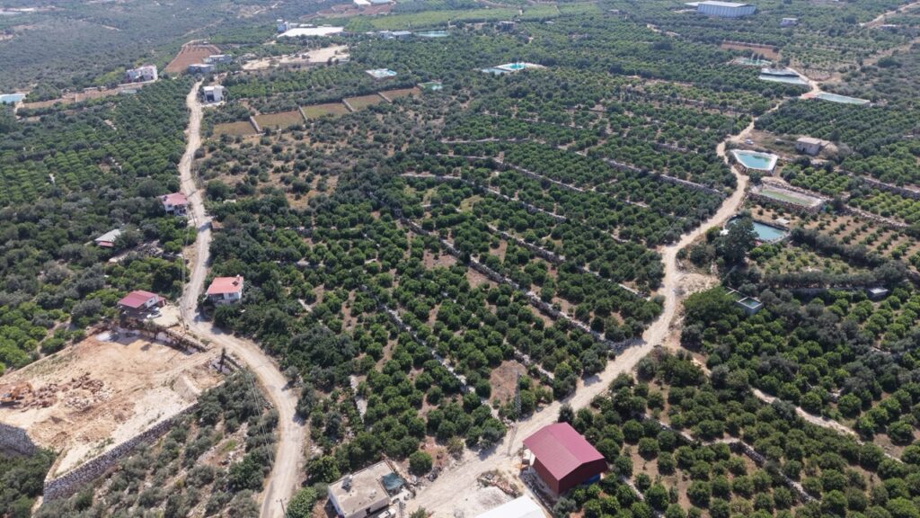 MERSİN ERDEMLİ KUMKUYU TIRTAR DENİZ MANZARALI SATILIK LİMON BAHÇESİ