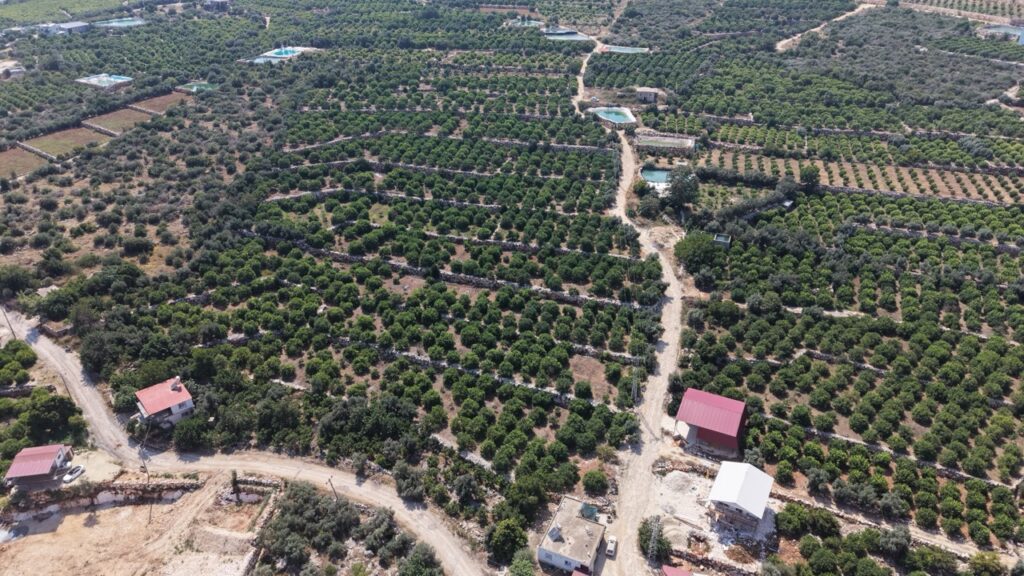 MERSİN ERDEMLİ KUMKUYU TIRTAR DENİZ MANZARALI SATILIK LİMON BAHÇESİ