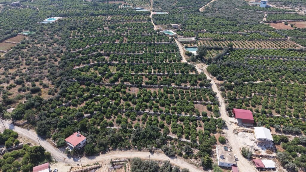 MERSİN ERDEMLİ KUMKUYU TIRTAR DENİZ MANZARALI SATILIK LİMON BAHÇESİ
