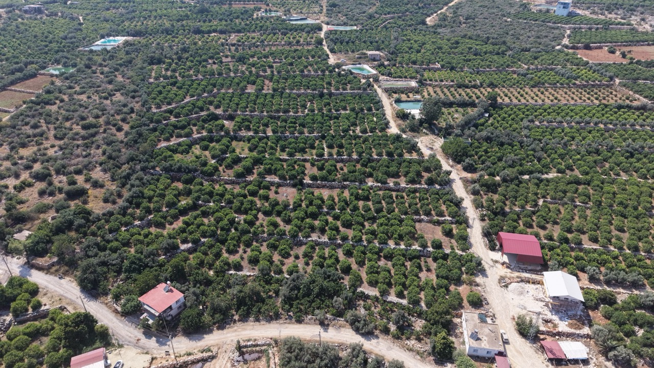 Citroenboomgaard te koop in Tırtar, Kumkuyu, Erdemli, Mersin, met uitzicht op zee