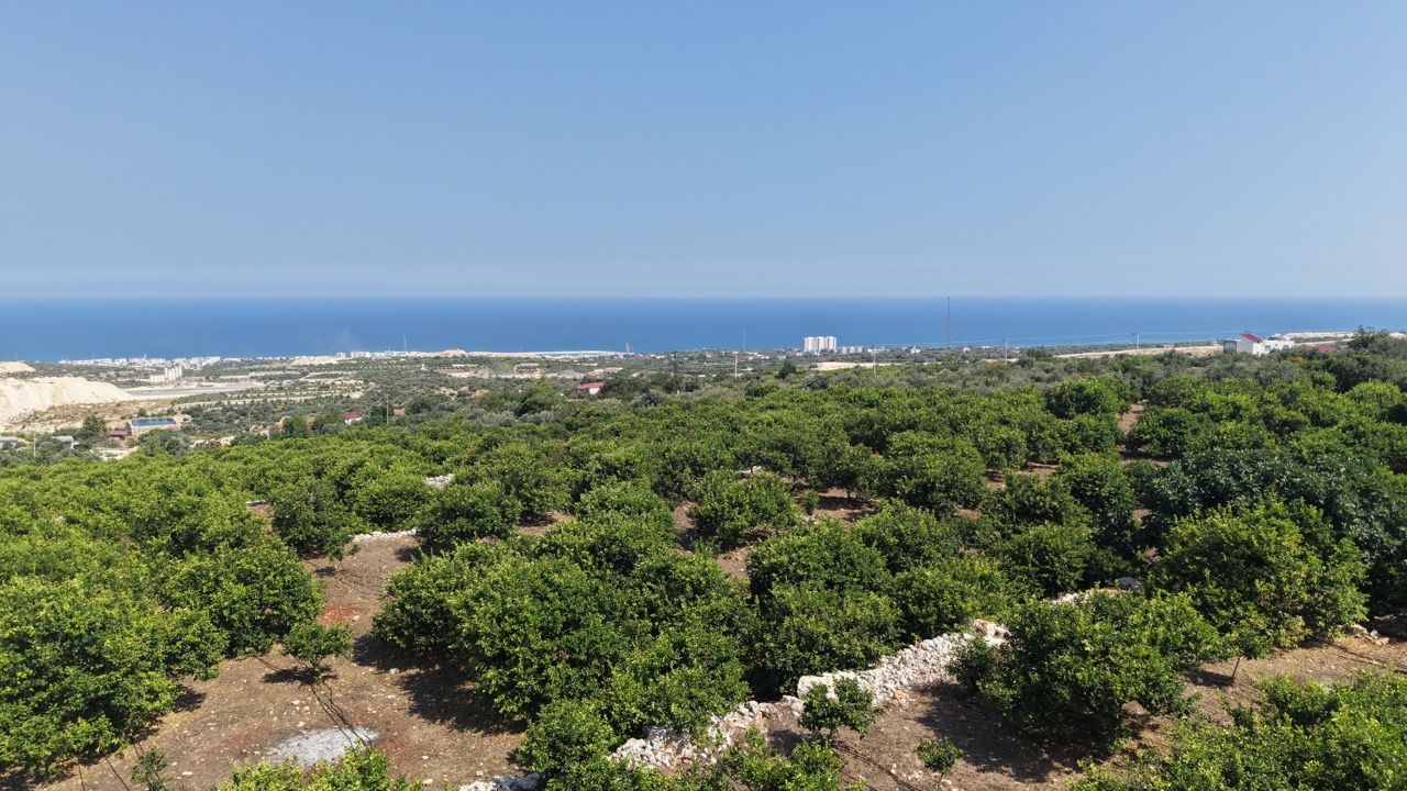 Citroenboomgaard te koop in Tırtar, Kumkuyu, Erdemli, Mersin, met uitzicht op zee