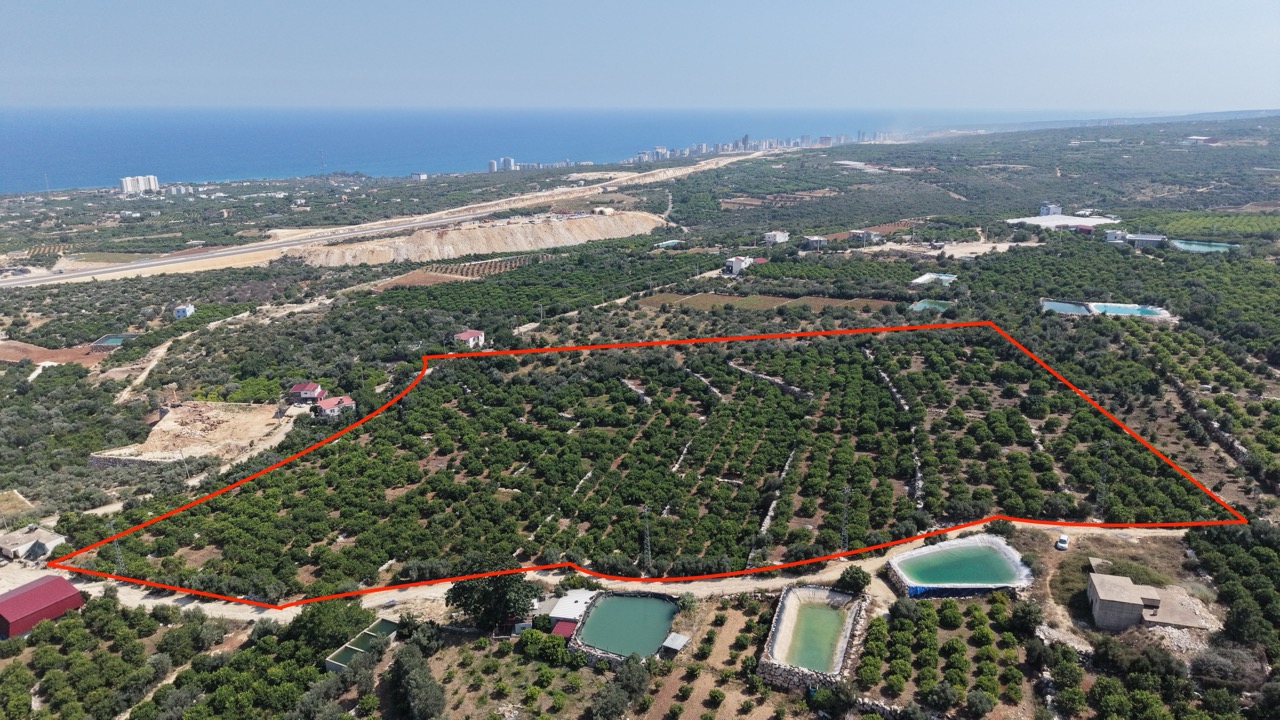 Citroenboomgaard te koop in Tırtar, Kumkuyu, Erdemli, Mersin, met uitzicht op zee
