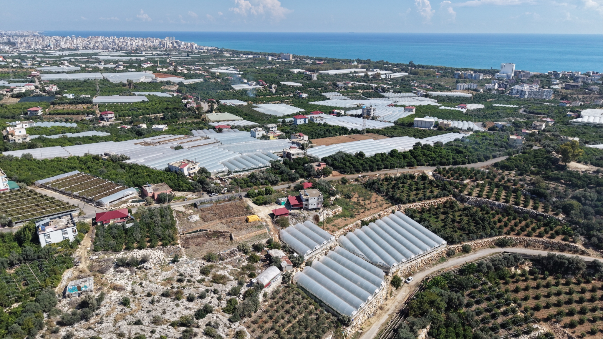 default MERSİN ERDEMLİ KOCAHASANLI DENİZ MANZARALI SATILIK TARLA