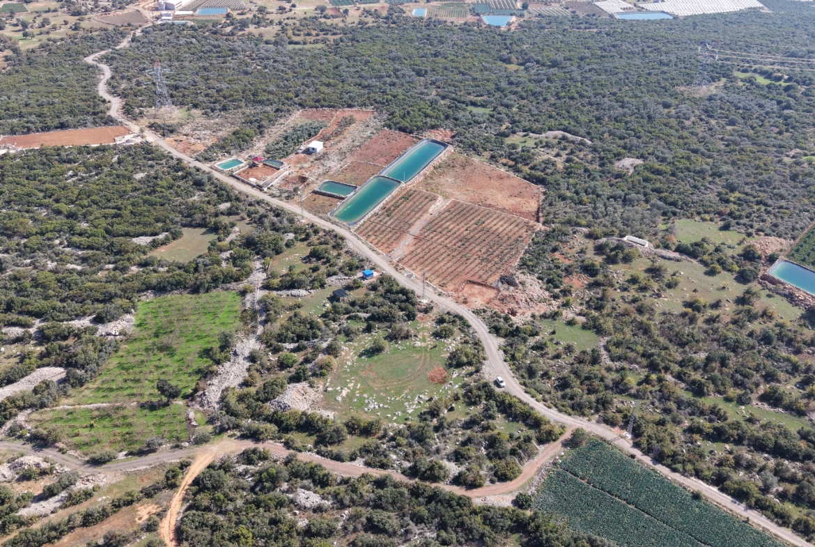 Mersin Erdemli Esenpınar Merkez Mahallesi Satılık Tarla
