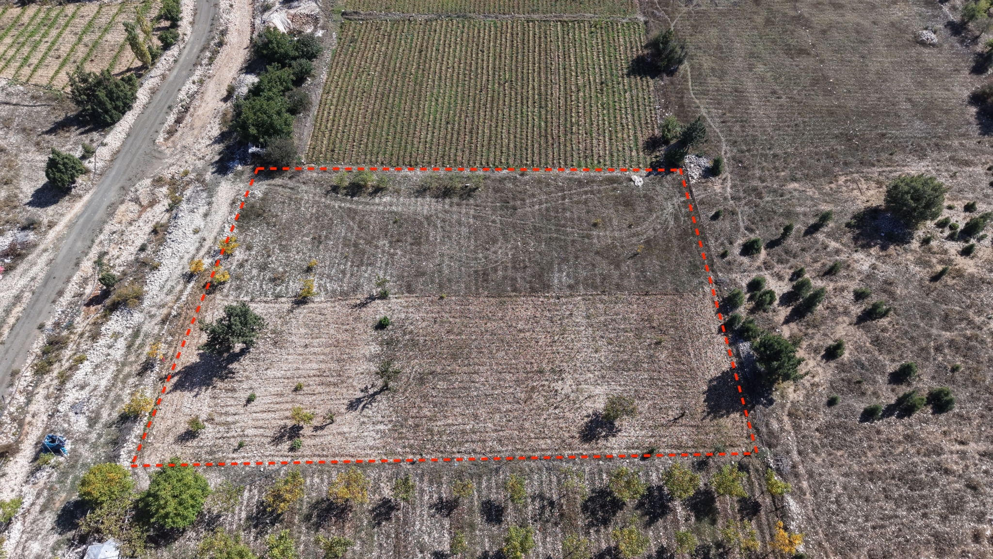 default Landwirtschaftliches Grundstück zum Verkauf in Mersin, Erdemli (Güneyli)